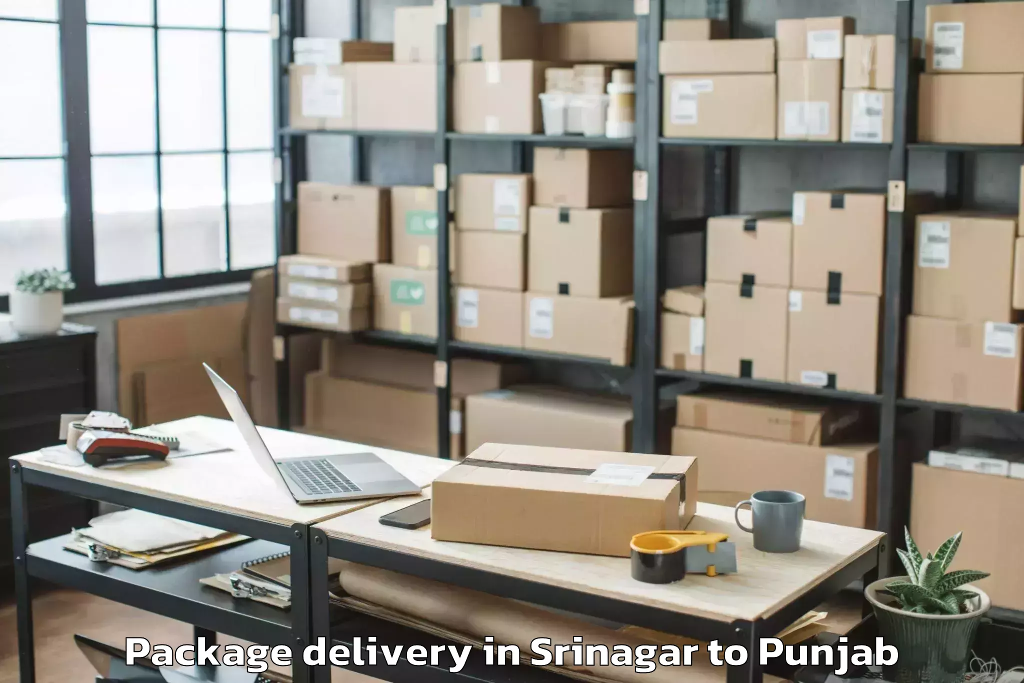 Expert Srinagar to Abhilashi University Bathinda Package Delivery